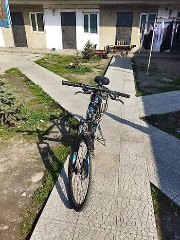 giant glory: Горный велосипед, Galaxy, Рама M (156 - 178 см), Алюминий — 2