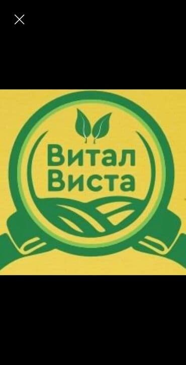 работа автосалон: Требуется Торговый агент, График: Шестидневка, 1-2 года опыта, Карьерный рост, Полный рабочий день — 1