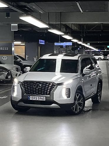 shadow line: Hyundai Palisade: 2022 г., Кроссовер — 1