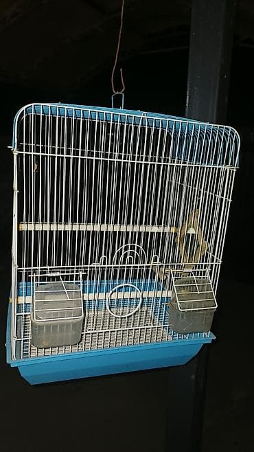 Клетка для мелких и средних декоративных птиц - Прямоугольная