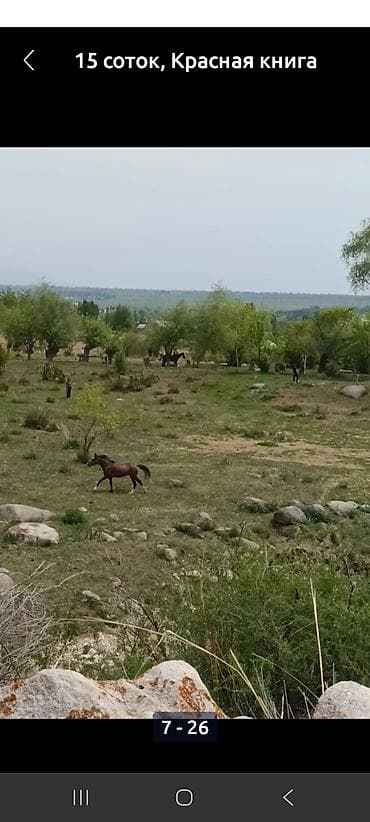 открытый: 15 соток, Для строительства, Красная книга — 10