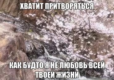 квартира комнатная: 5 и более комнат, 500 м² — 2