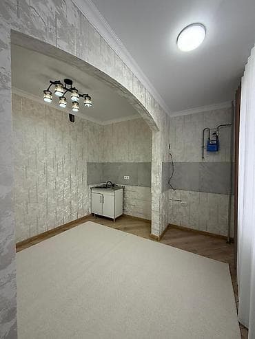29: 1 комната, 45 м², 106 серия улучшенная, 2 этаж, Евроремонт — 8