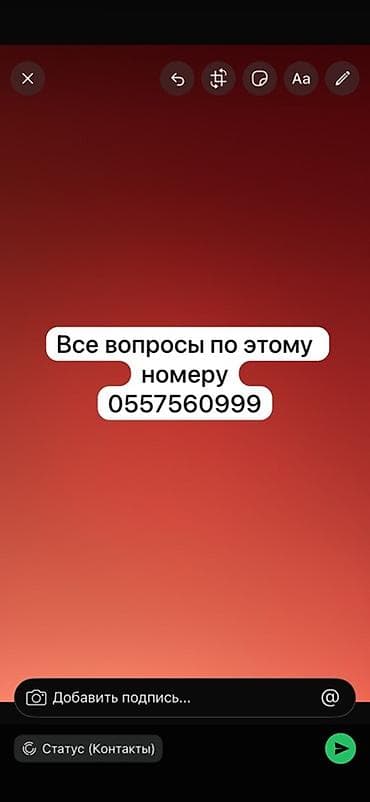 кошка регдолл: Продаю | Баран (самец) | На забой | Племенные — 6