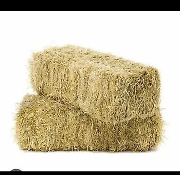 Арпа саман тюк сатылат, таза, кургак, плотный. Баасы 130 сом