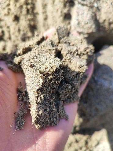 Песок карьерный (супесь/крупнозернистый) - Фракция: преимущественно