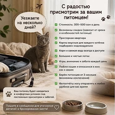 Ветеринар кызматы: Услуга: заботливый присмотр за вашим котом/котёнком - Стоимость — 1
