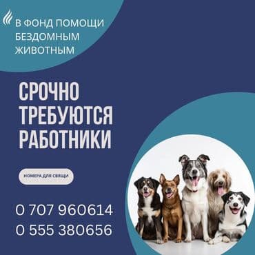 оборудование вулканизация: Кызматкер талап кылынат, Толук жумуш күнү, Иш тартиби: Ийкемдүү график, Төлөм Ай сайын — 1