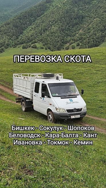 будка камок: Перевозка скота Услуга транспортировки крупного и мелкого рогатого — 1