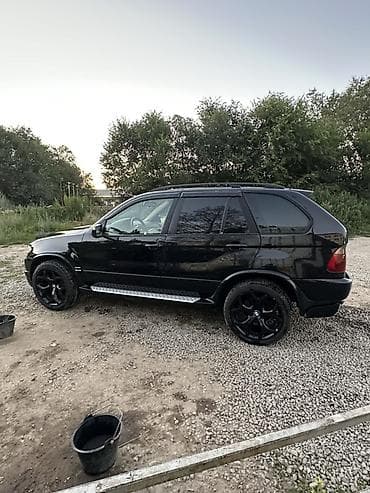BMW X5: 2004 г., 4.8 л, Автомат, Бензин, Внедорожник