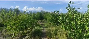 яблоневый сад: 10 соток, Для сельского хозяйства, Красная книга — 3