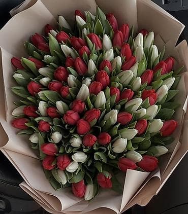 оптом тюлпаны: Тюльпаны оптом от производителя. - Разнообразие цветов: красные — 4