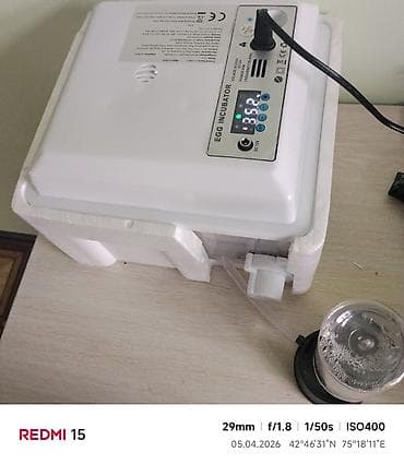 инкуб: Инкубатор для яиц с автоматикой - Модель: Egg Incubator (панель — 10