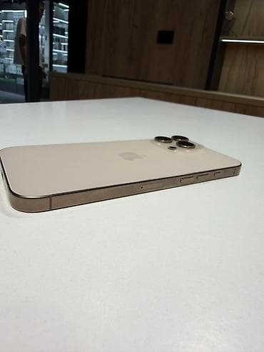 IPhone 15 Pro Max, Natural Titanium