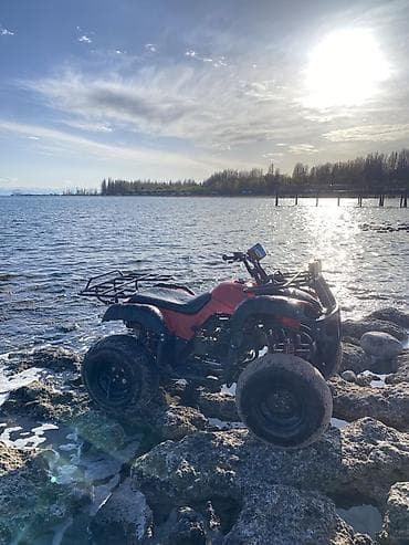сервопривод купить: Квадроцикл Подходит для: - Прогулок по бездорожью, рыбалки, охоты - — 10