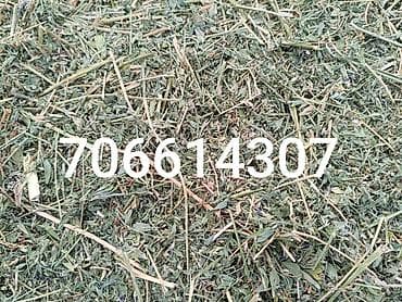 инкубатор мини: Беде чоп аралаш доставка и тушуруп жыйнап беребиз — 2