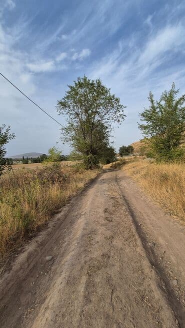 гостевые дома на иссык куле: 5 соток, Для строительства, Красная книга — 4