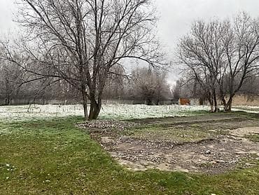 участок раздолний: 80 соток, Красная книга — 8