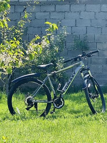 Горный велосипед, Galaxy, Алюминий