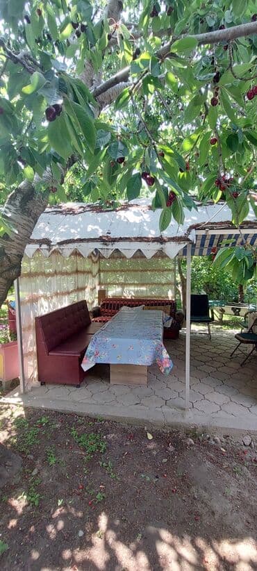 отдых на иссык куле 2021 цены: Коттедж, Ч Чолпон-Ата, Унаа токтотуучу жай, унаа туруучу жай — 9