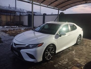 домкрат гидравлический для вытяжки авто: Toyota Camry: 2019 г., 2.5 л, Автомат, Бензин, Седан — 7
