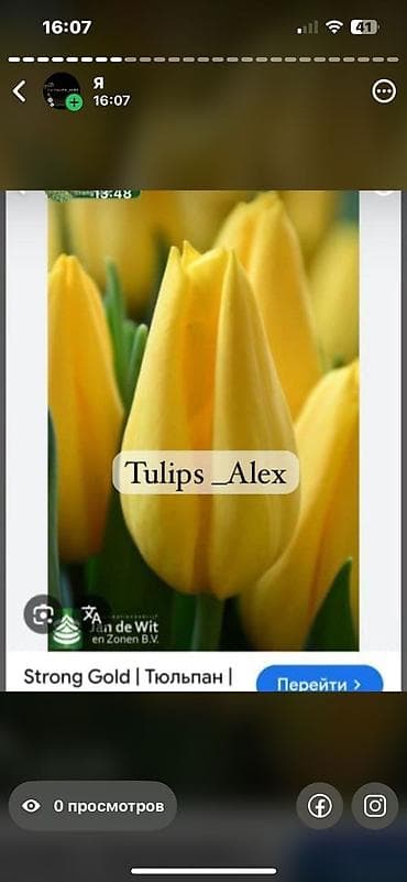 Дрова: Свежесть весны и аромат праздника - ваш секрет успеха! Дорогие — 4