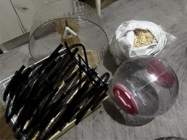 домик для: Продам хомячка, сирийский хомяк мальчик Возраст 3 месяца, в комплекте — 4