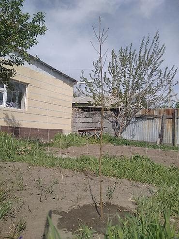 Текстура любой вид, утепления фасадов