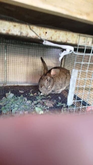 Срочно продам