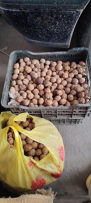 Продам орехи