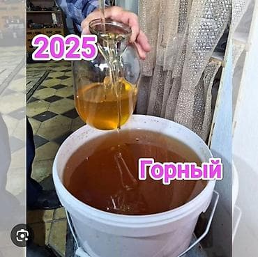 Токтогул мед горный 2025 чистый 
доставка от 5 кг бесплатно