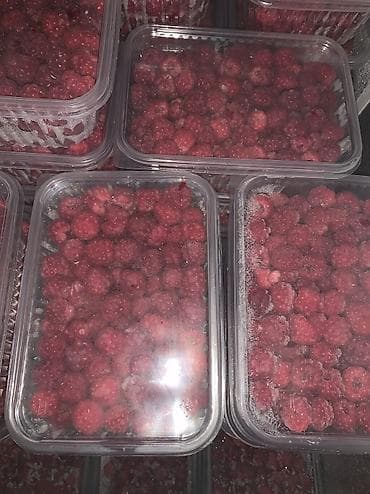 Малина В розницу