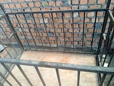 продать животных: Весы продаётся,обмен интересует — 3
