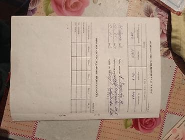 Продаю. Пол — 7