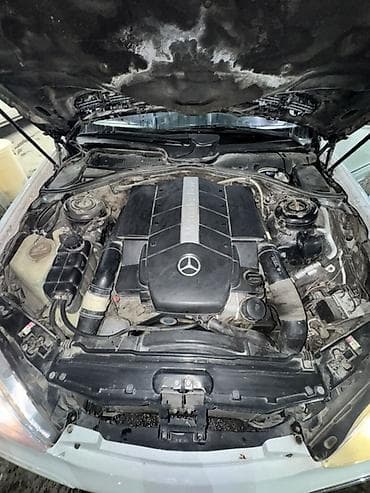 rex sprinter: Mercedes-Benz S-Class: 2000 г., 5 л, Автомат, Бензин, Седан — 10