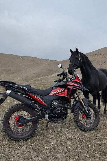 Мототехника: Эндуро/турэндуро мотоцикл 300 см³ - Двигатель: одноцилиндровый — 3