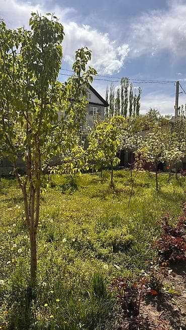 продаю дачу в беш кунгее: Просторный, уютный дом с потрясающим видом на горы и речку. Локация — 7