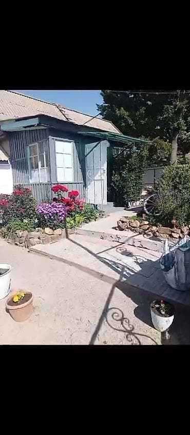сутычные: Сдается уютный домик для семейного отдыха в селе Бостери со всеми — 9