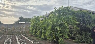 дома в селе луговом: Дом, 55 м², 3 комнаты, Собственник, Евроремонт — 9