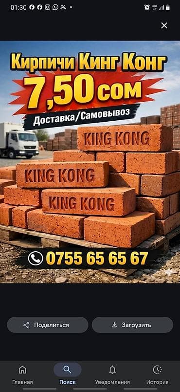 Пустотелый, дырчатый, Жженый кирпич, Полублок, 250×120×90