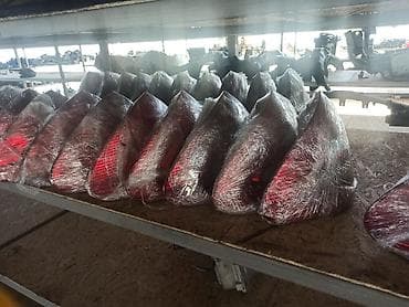 мониторы 200 гц: Комплект стоп-сигналов Mercedes-Benz 2003 г., Б/у, Оригинал, Германия — 2