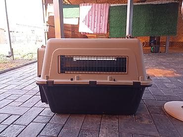 куплю собаку недорого: Перевозка для собак — 1