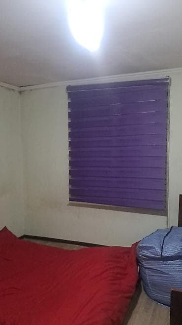 vip hostel: 12 м², С мебелью — 8