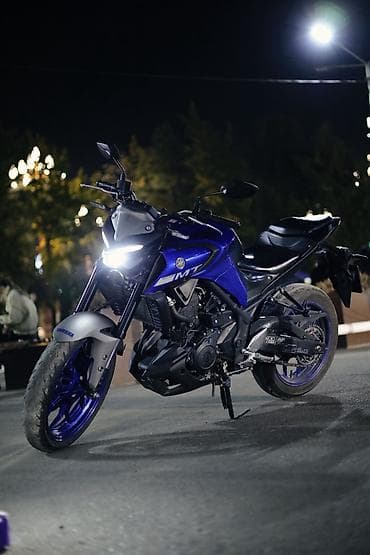 Мотоциклы: Naked Yamaha, 320 куб. см, Бензин, Взрослый, Б/у — 2