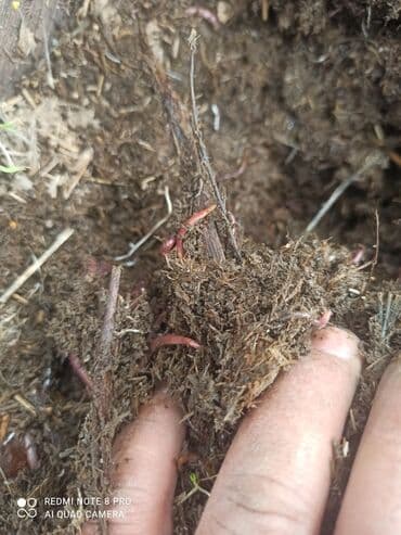 Инструменттер: Жер семирткич — 2