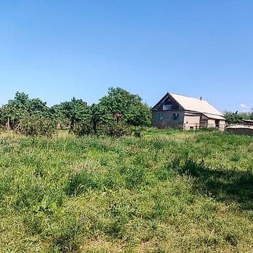 В селе барскоон Продаётся земельный участок с жилым домом и садом