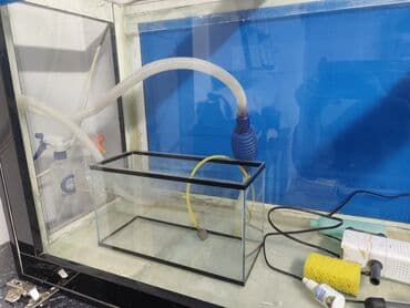 аквариум: Просторный аквариум панорамного типа с чёрной рамой. - Прямоугольная — 3