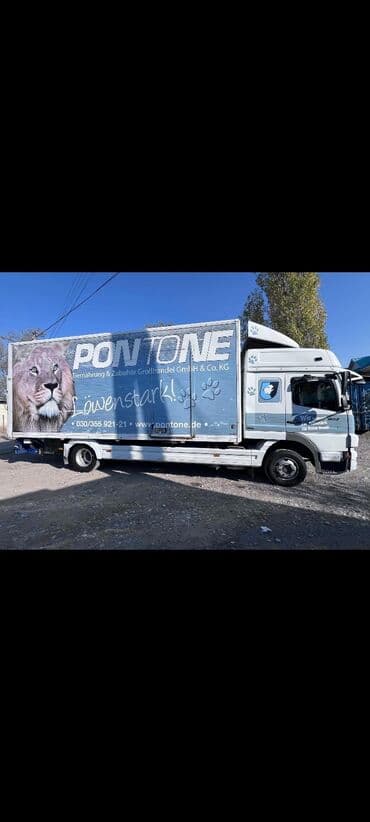 бу чехол: Грузовик, Mercedes-Benz, Дубль, 5 т, Б/у — 12