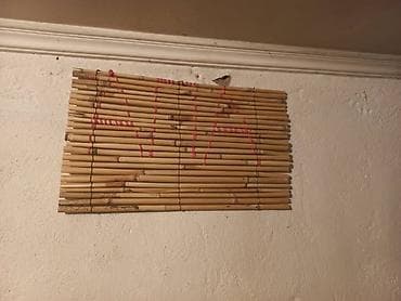 коты бишкек: Башка жаныбарлар — 3