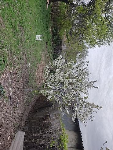 участок в новопавловке: Продаётся земельный дом . 8 соток . адрес -село Ново-пакровка — 6